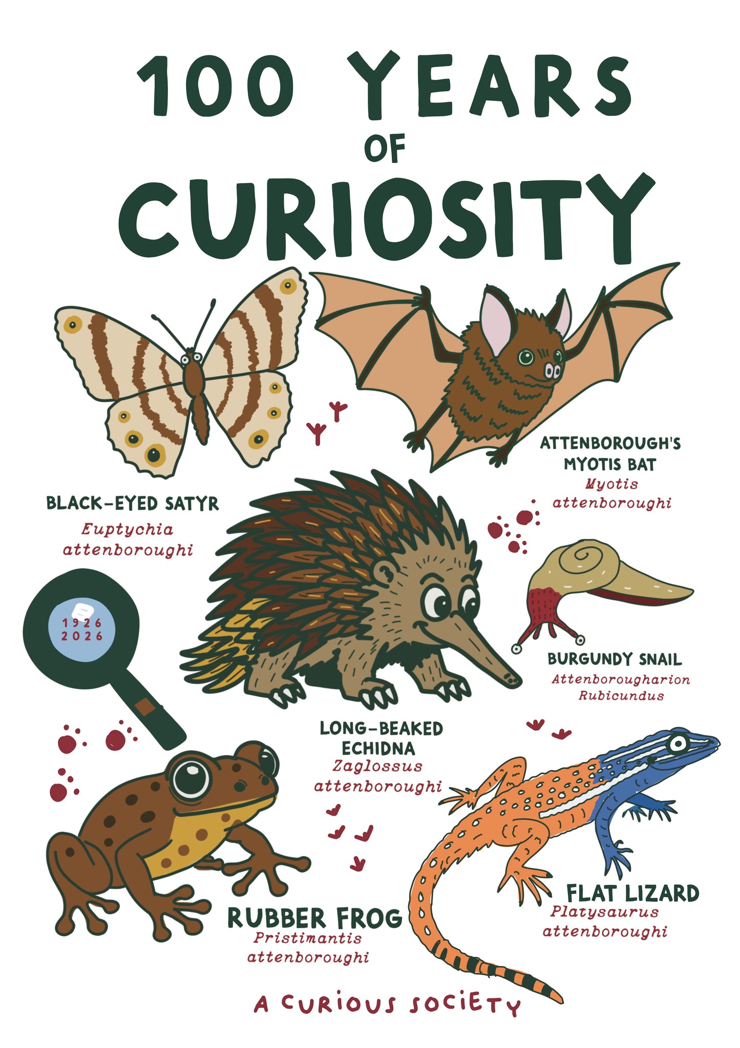 100 YEARS OF CURIOSITY