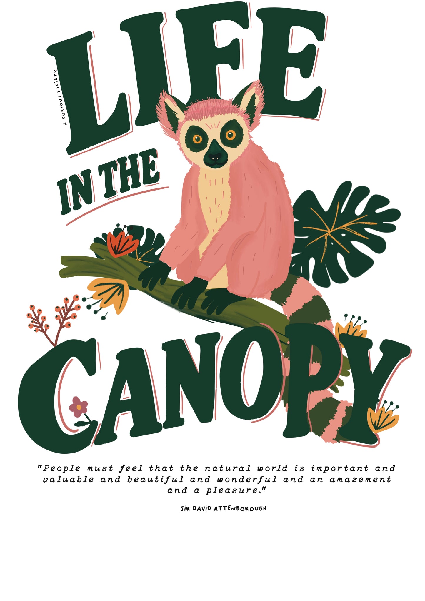 LIFE IN THE CANOPY