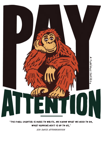 PAY ATTENTION
