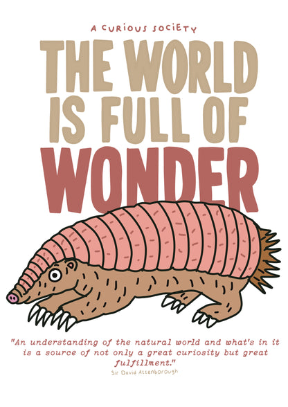 FULL OF WONDER