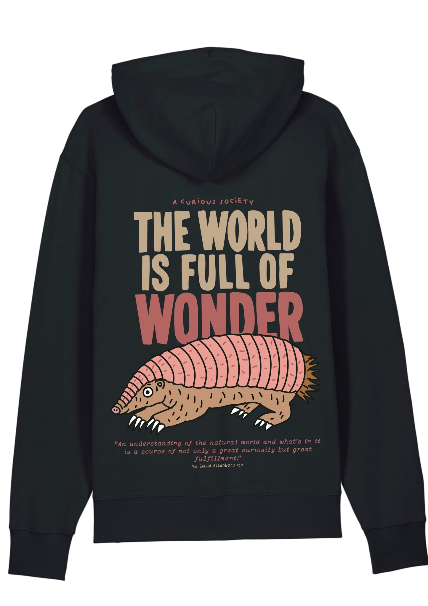 FULL OF WONDER