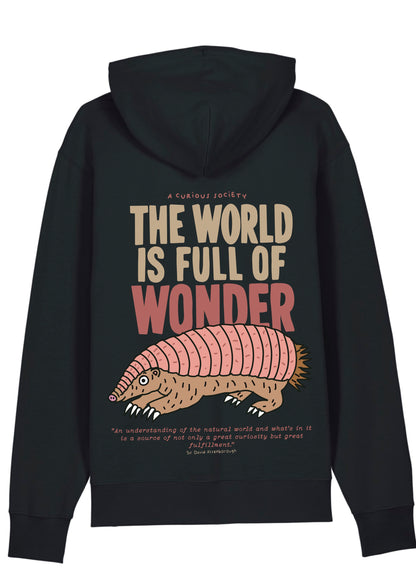 FULL OF WONDER