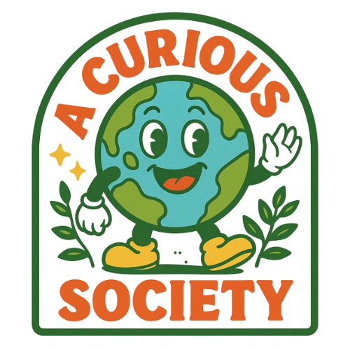 A Curious Society